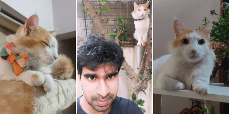 Read more about the article Pet story by Karthik Rajeev: How Simba changed our lives